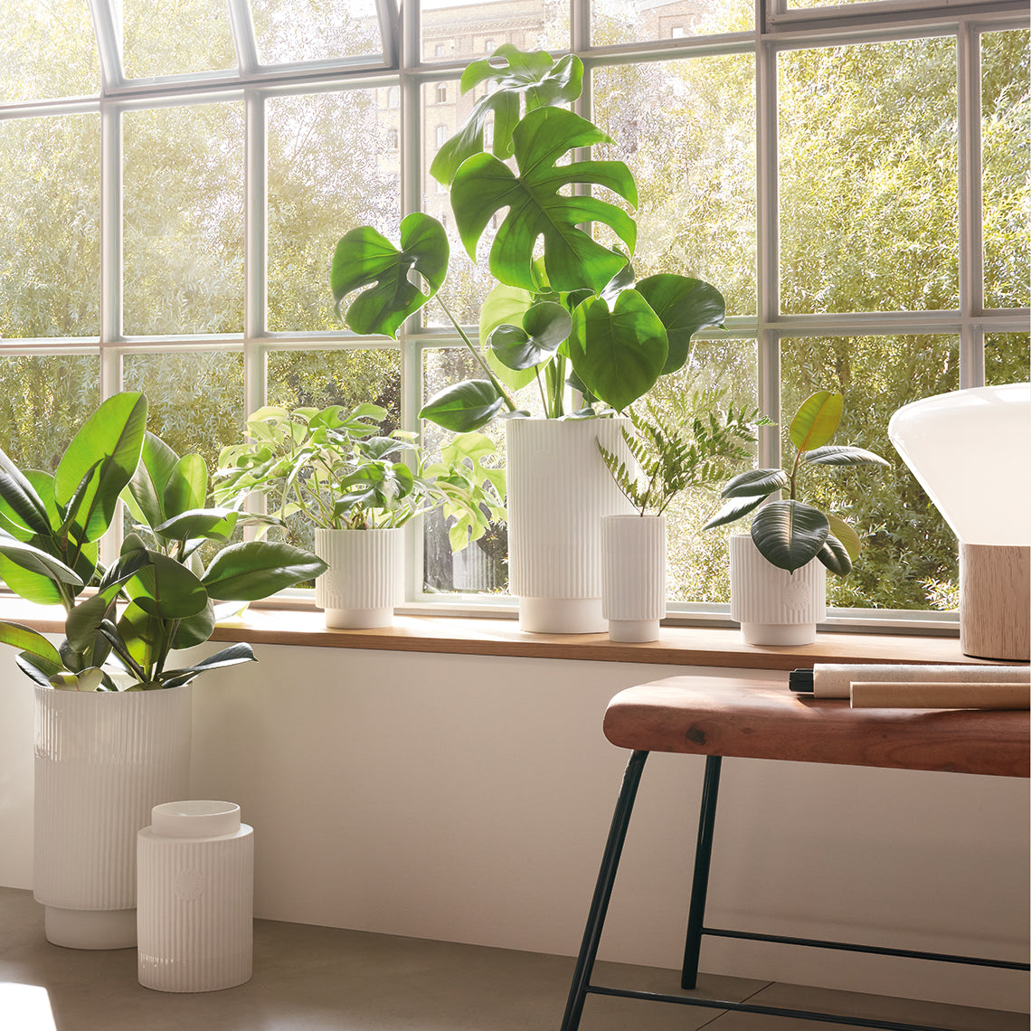 Jarra pequena "A linha"