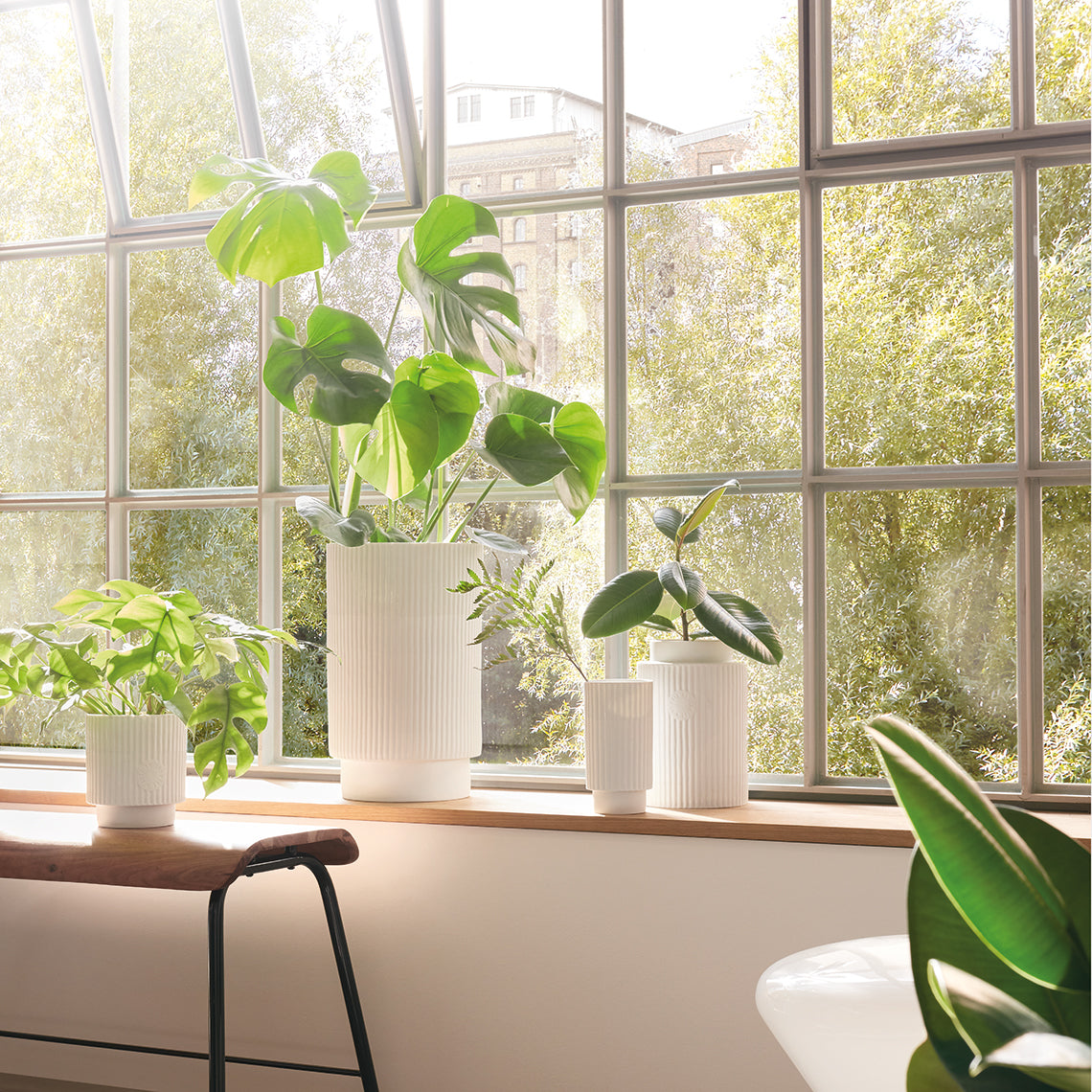 Jarra grande “A linha”