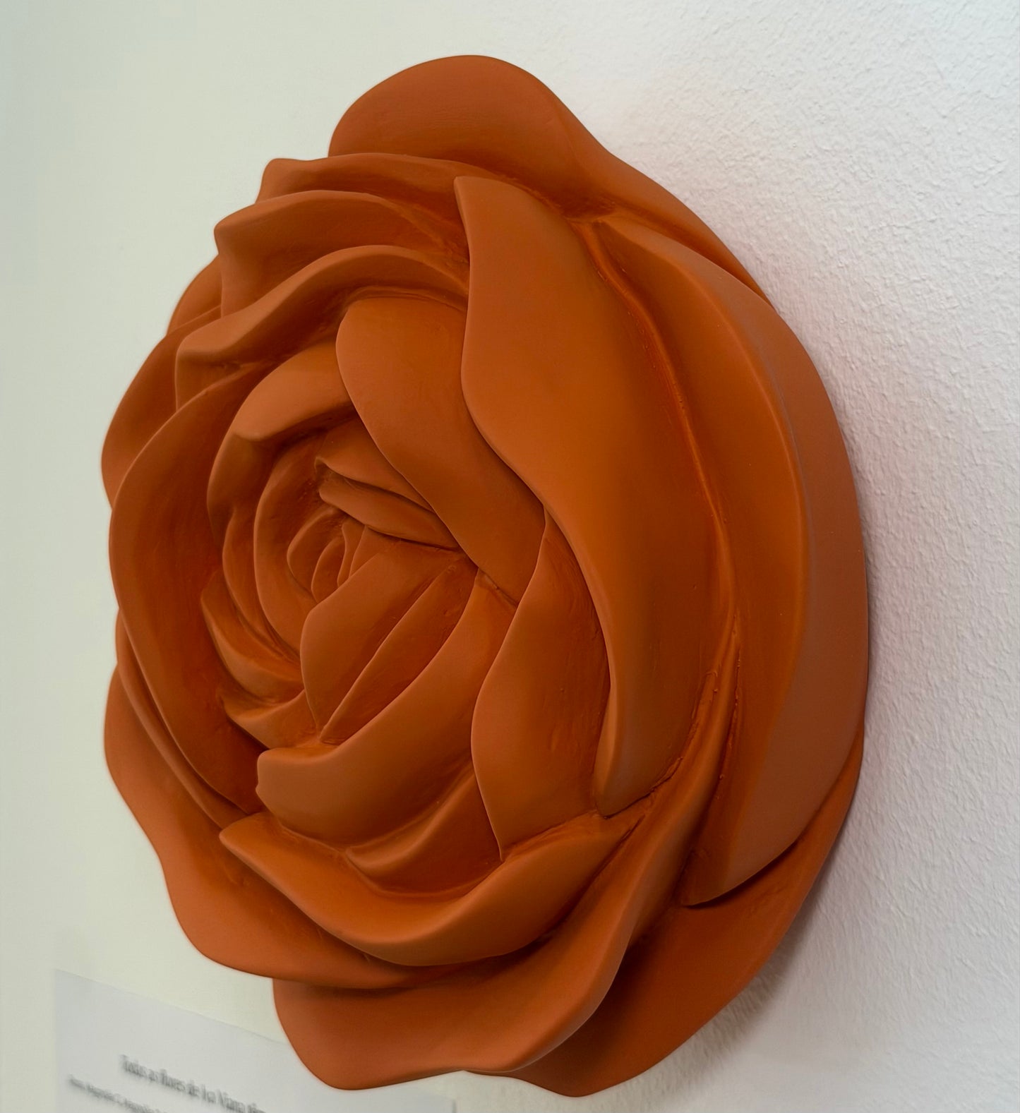 Iva Viana | Rosa em laranja