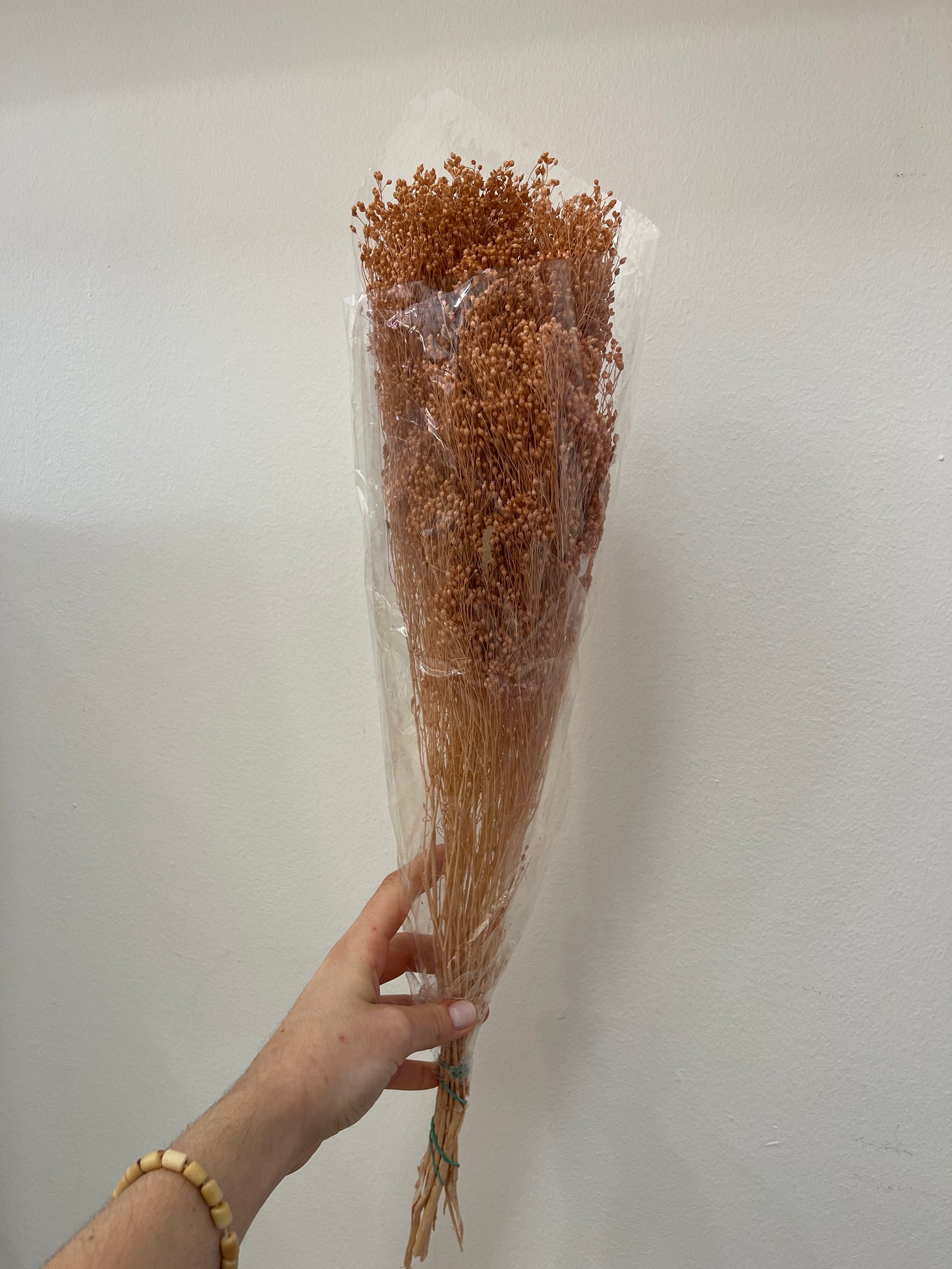 Flores secas em rosa velho