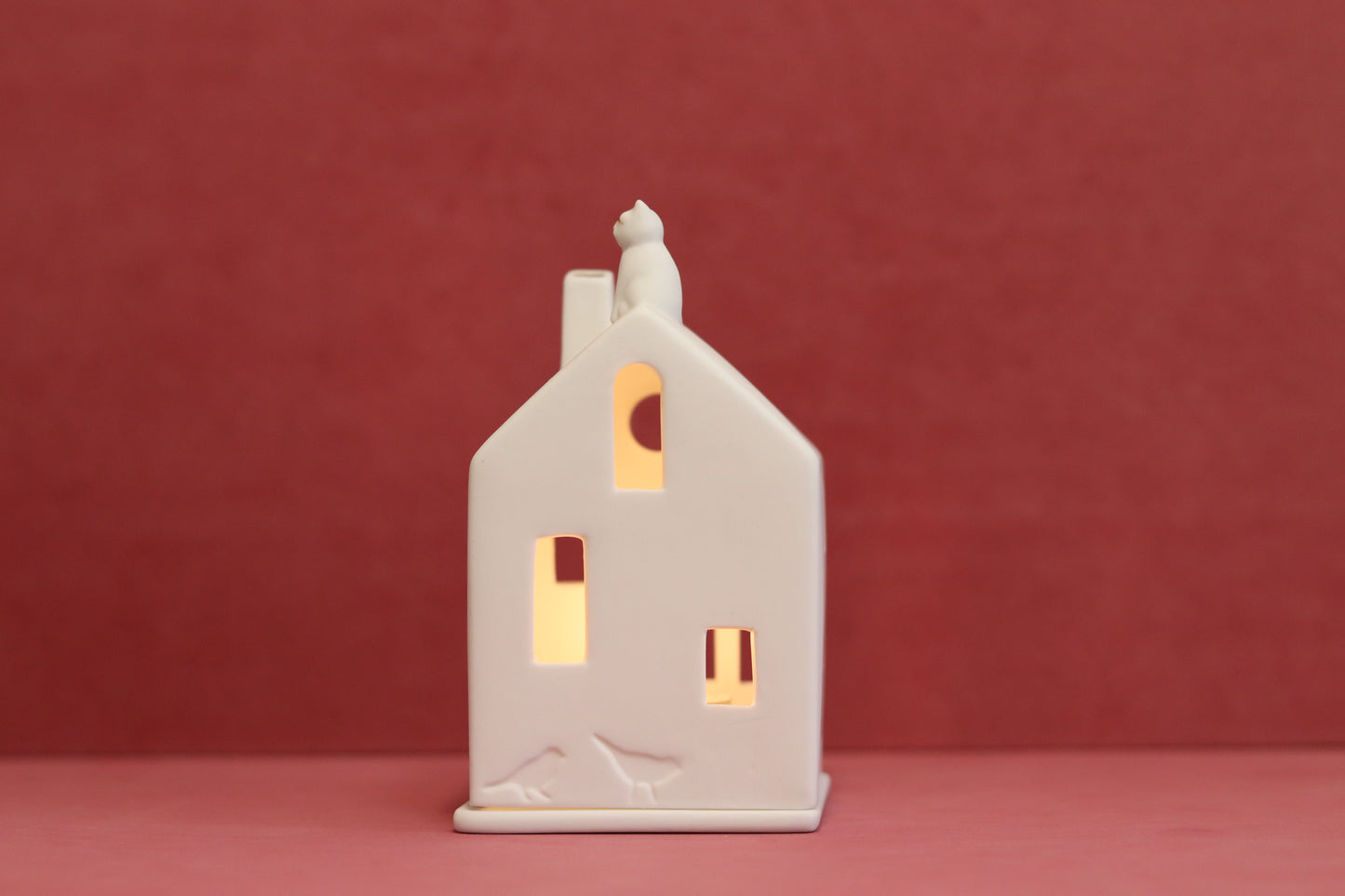 Casa de luz Gato