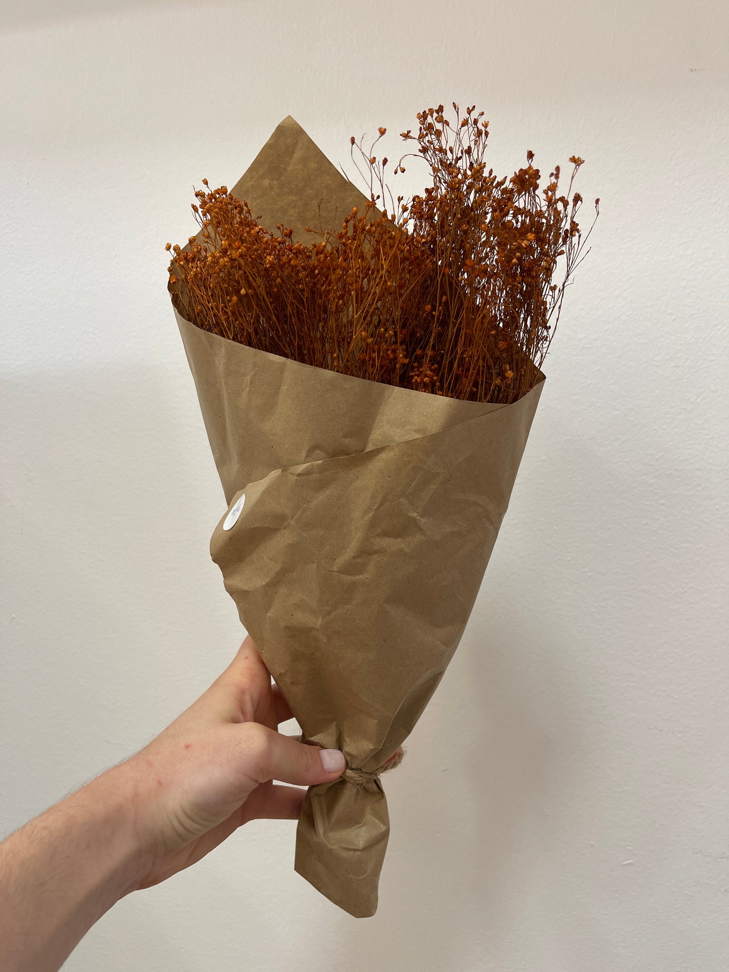 Flores secas em castanho