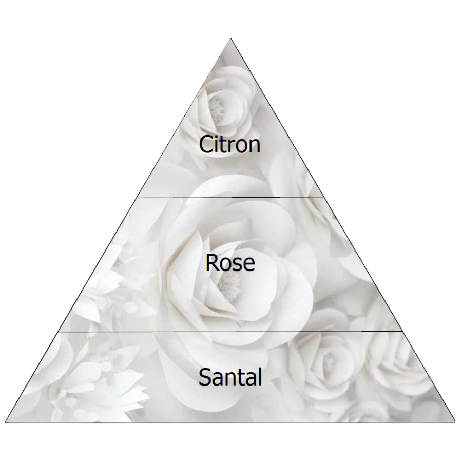 Floralies | Perfume de ambiente 100ml