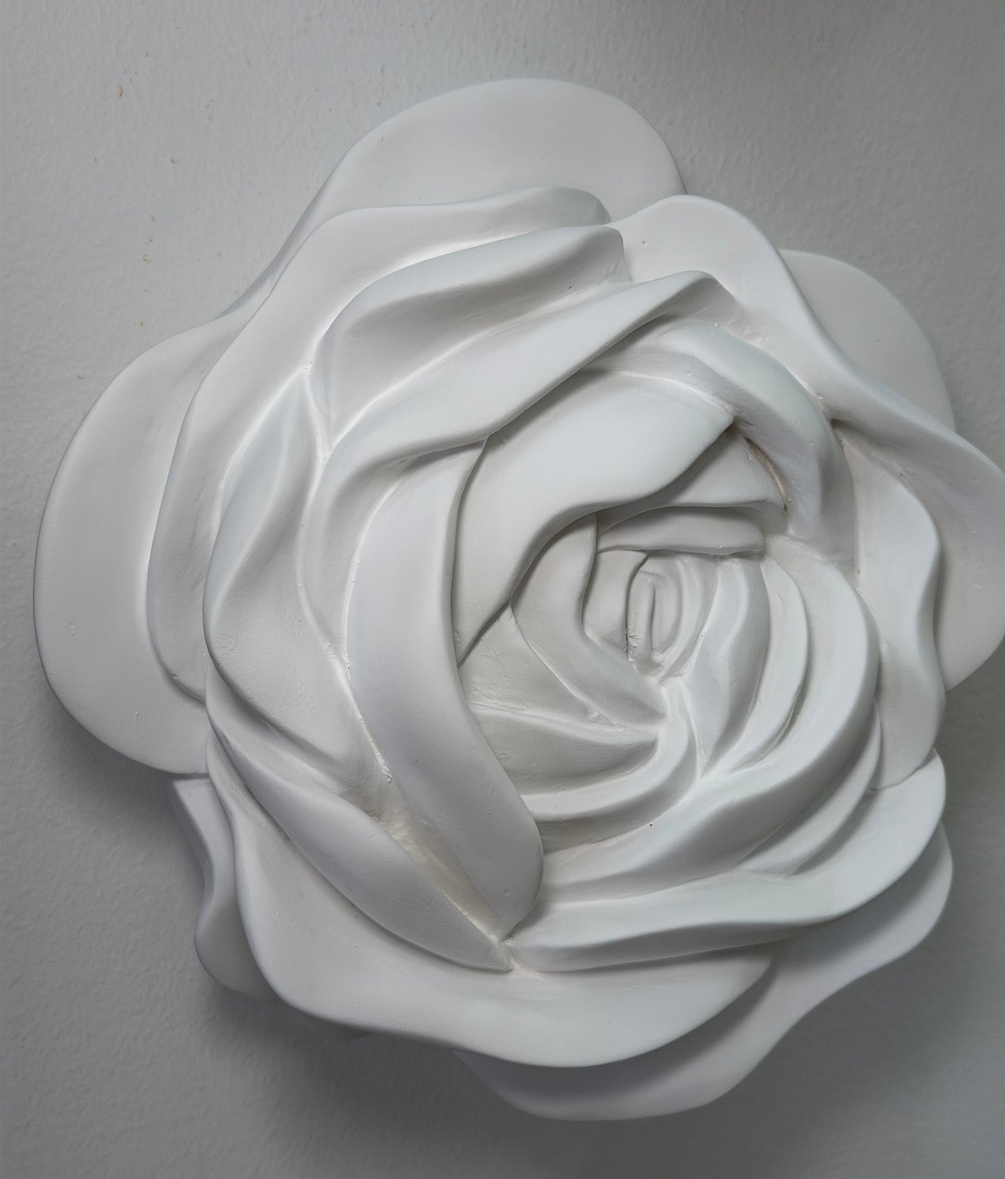 Iva Viana | Rosa em branco