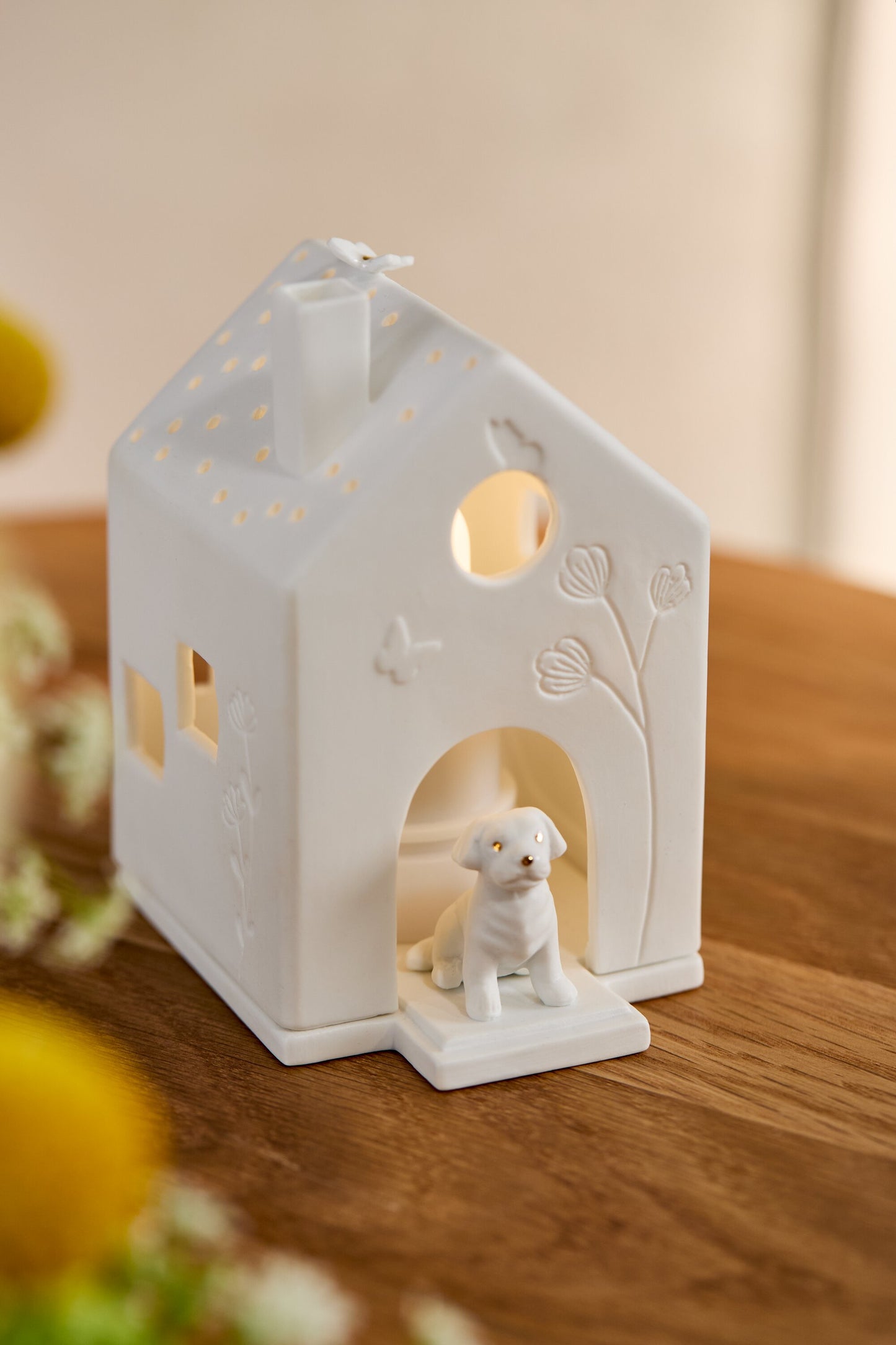 Casa de luz | Cão e borboletas