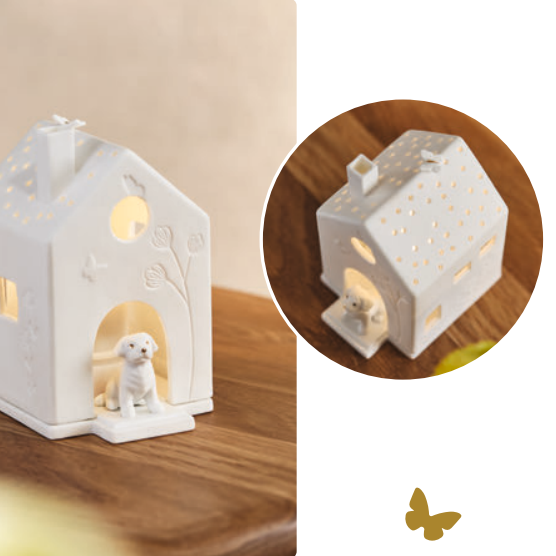Casa de luz | Cão e borboletas