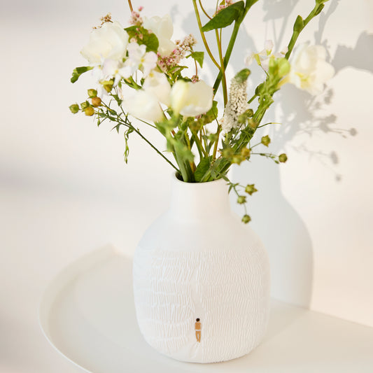 Jarra rapaz a caminhar