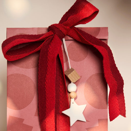 Pendente de inverno | Estrela de Natal