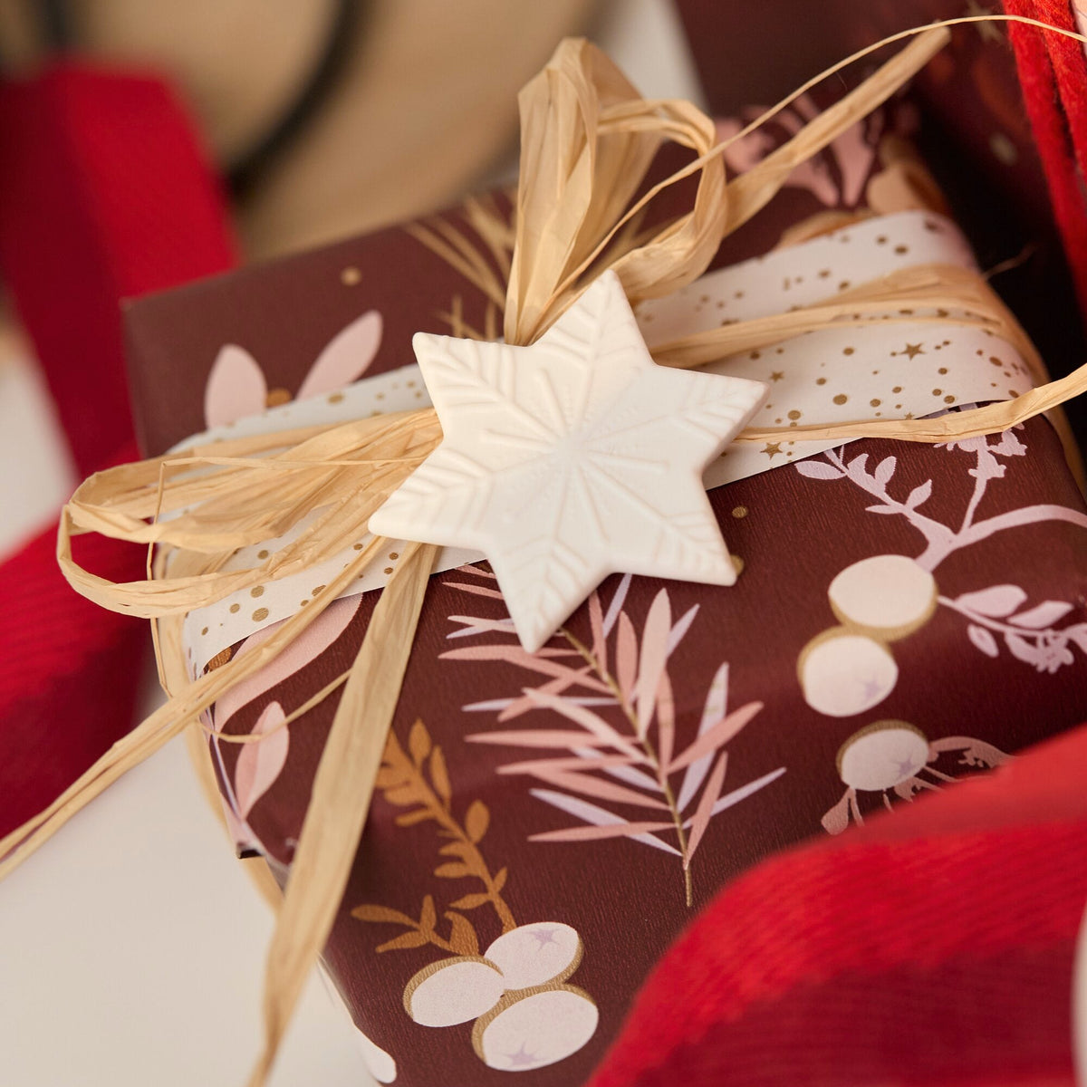 Sortido de Amigos de gingerbread