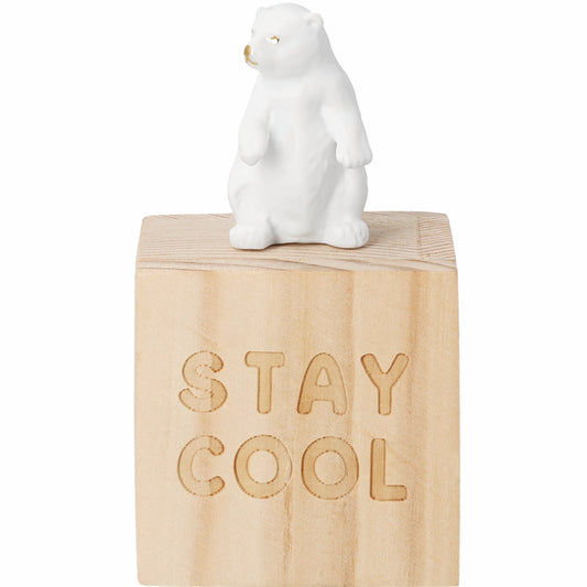 Caixa da sorte Stay Cool | Urso Polar