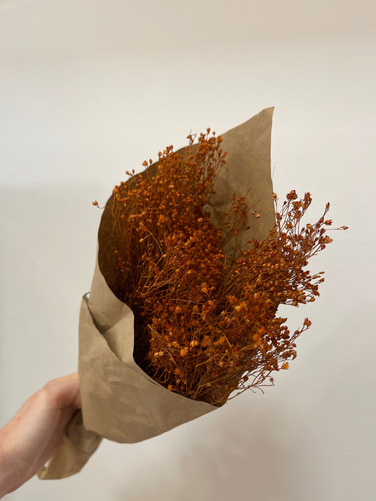 Flores secas em castanho