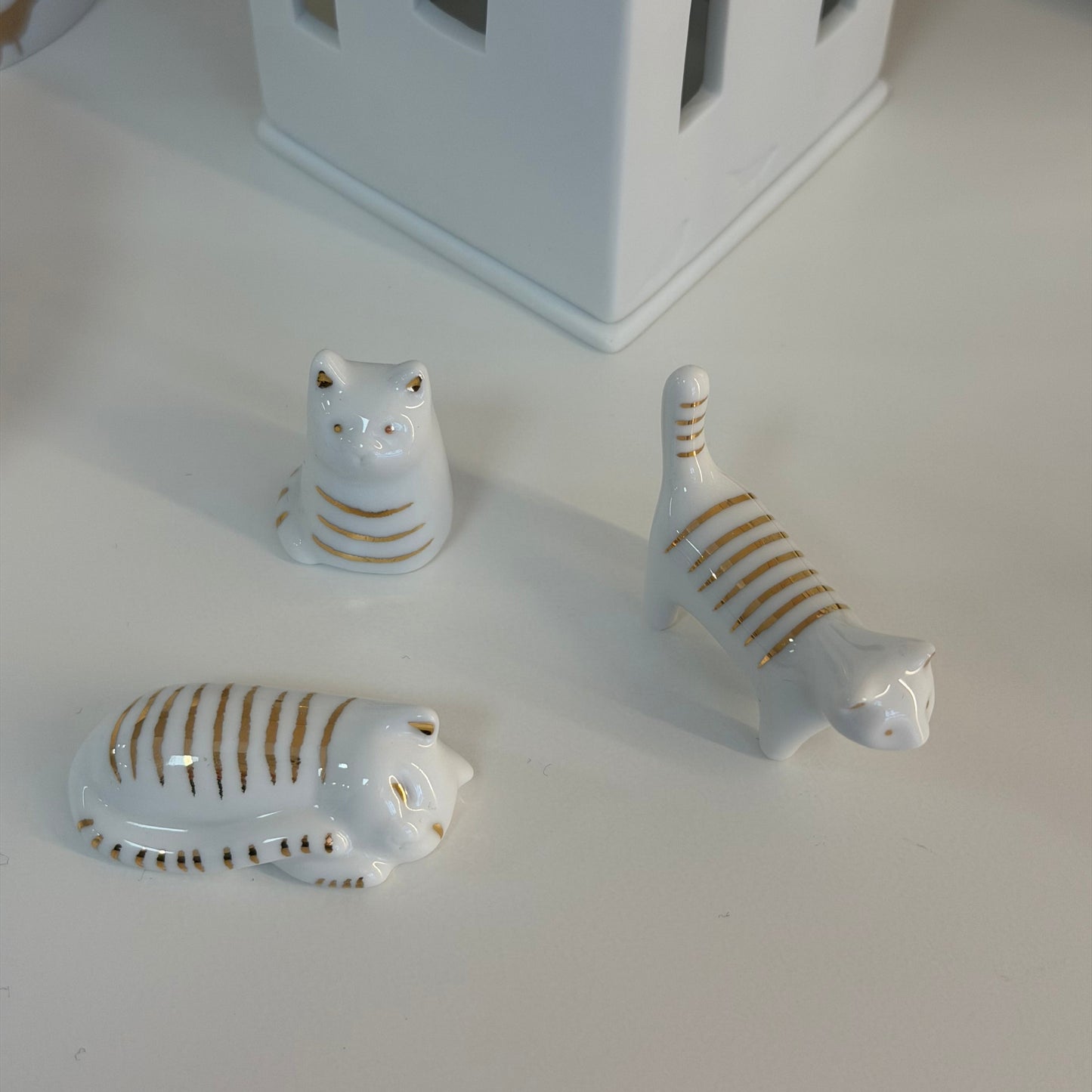 Pequenos gatos