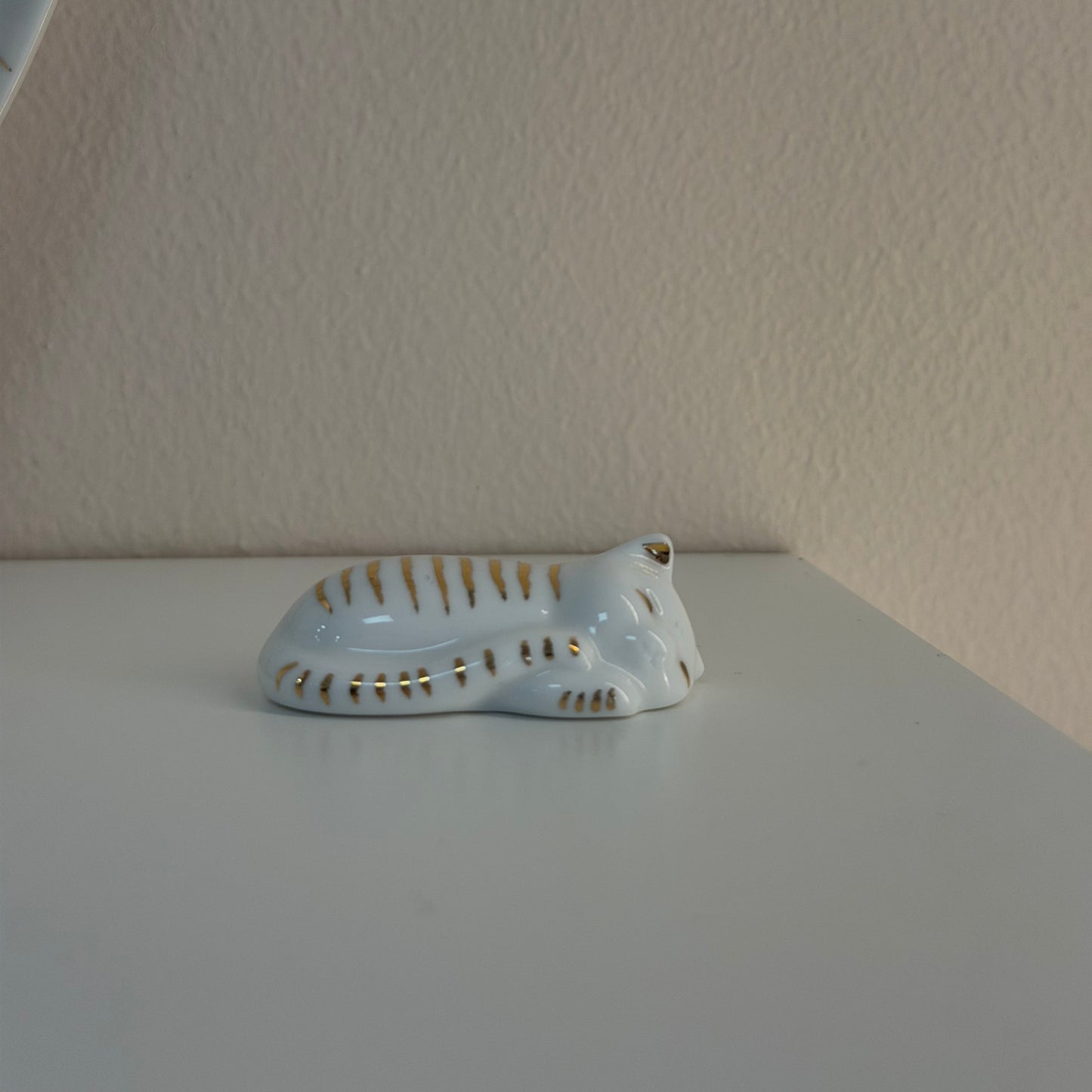Pequenos gatos