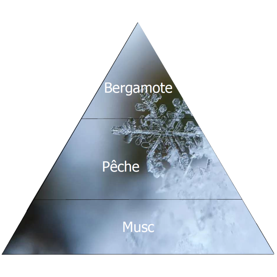 Etoile des Neiges | Difusor de fragância 400ml