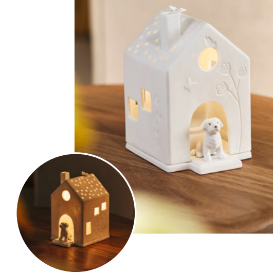 Casa de luz | Cão e borboletas